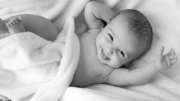 a picture of a baby