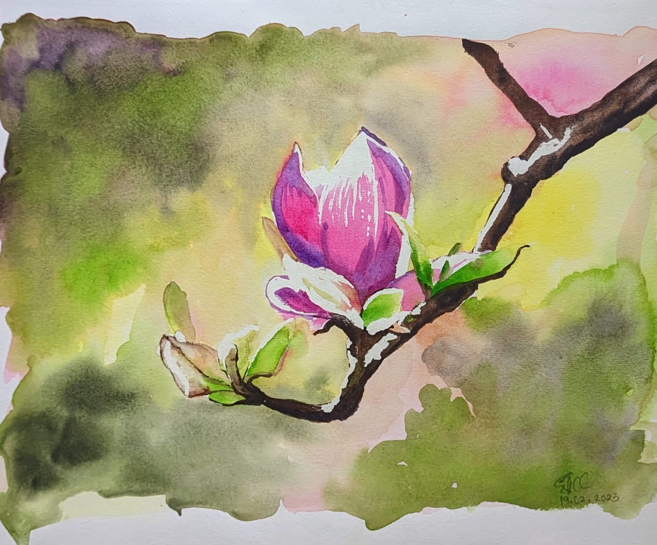 Watercolour Adventure