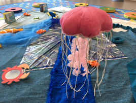 Jellyfish