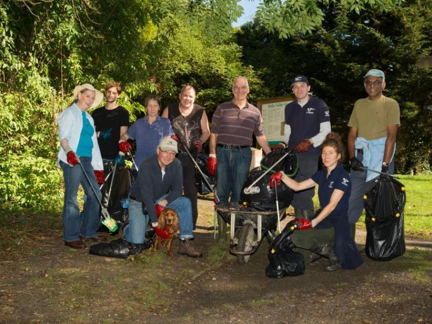 image of volunteers litter picking